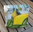 OESTERSCHAAL BLAUW MET VISJES 47X25