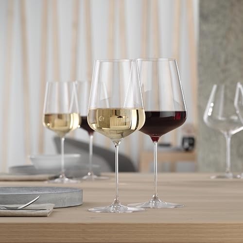 Spiegelau Definition Burgundy Glass, European Made Long Stem Red Wine Glasses for Wedding, Anniversary, Birthday Party, Dinner, Glassware, Home Bar Ca