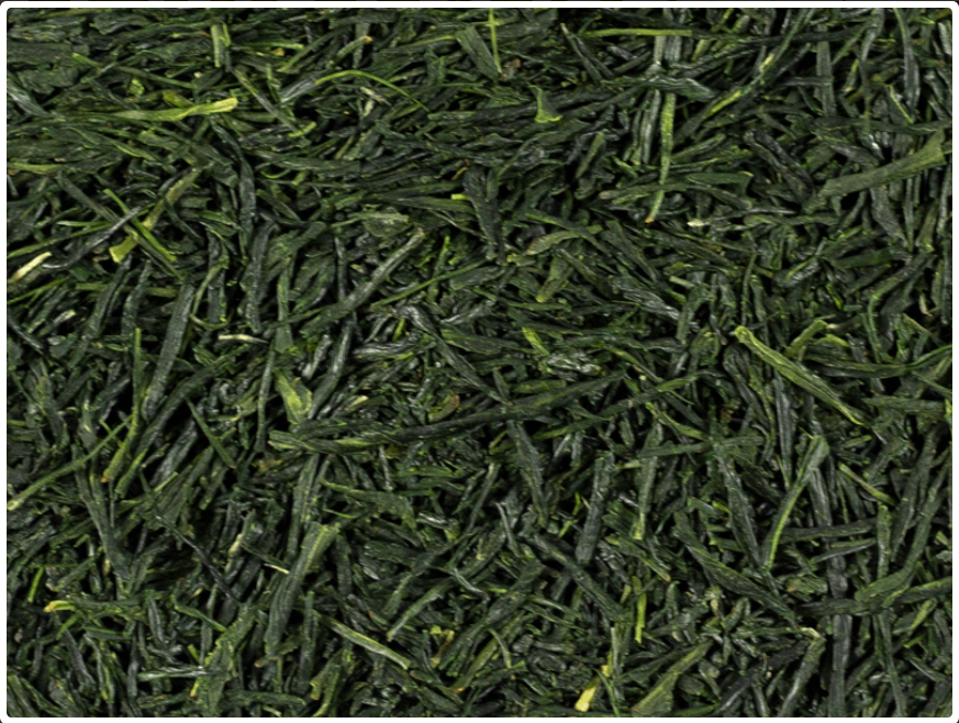 Groene Sencha thee