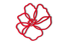 TOOLS2COOK ONDERZETTER BLOEM