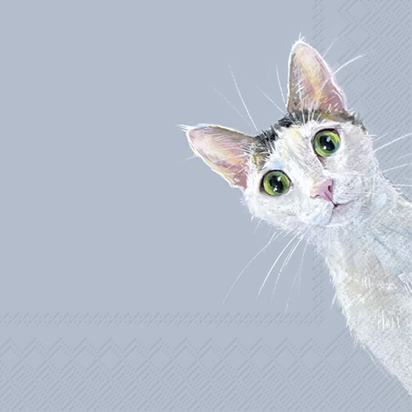 IHR SERVETTEN 33X33CM CAT STELLA LIGHT BLUE