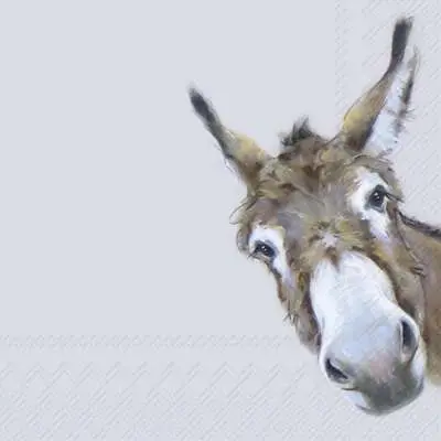 IHR SERVETTEN 33X33CM DONKEY GONZO GREY