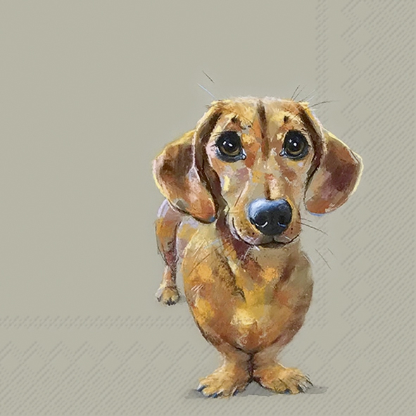IHR SERVETTEN 33X33CM DOG BUDDY LINEN