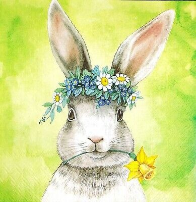 Servetten 33x33 cm - EASTERFRIENDS BUNNY green