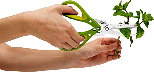 Chef'n kruidenschaar groen