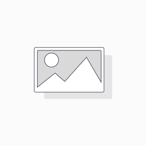 Saucer - Porto