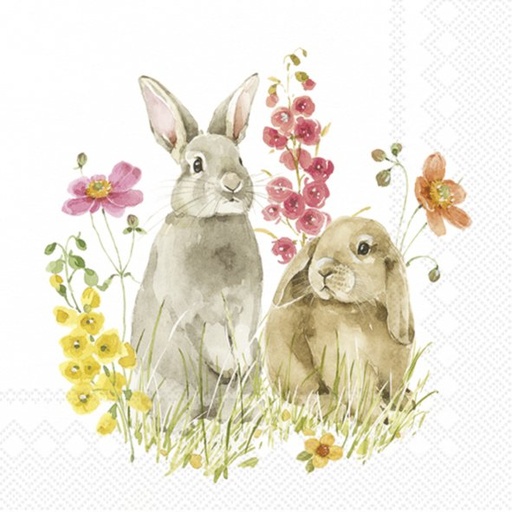 IHR SERVETTEN HOP ON SPRING