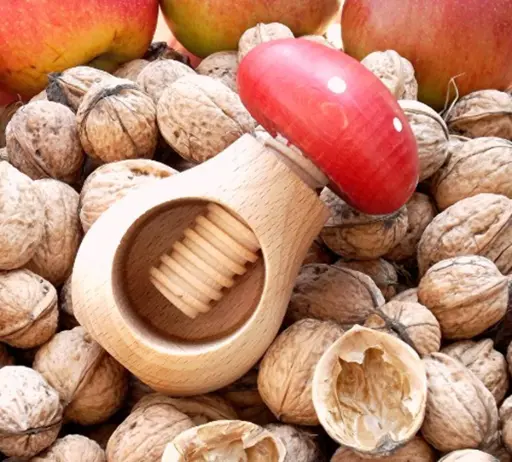 Homiez Notenkraker Paddenstoel Beukenhout 